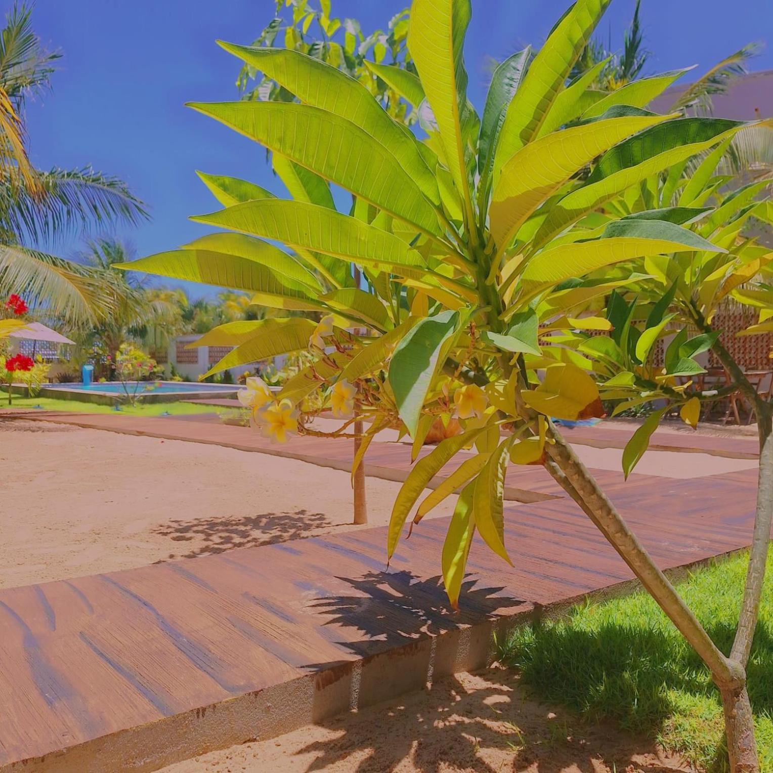 Condominio Shalom Beach 卡诺格布拉达 外观 照片